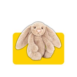Vệ Sinh Gấu Jellycat